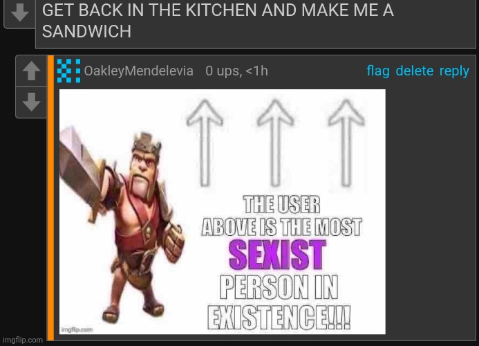 Found this comment in a Silly_Memeus post | image tagged in comments,memes,sexism,male privilege | made w/ Imgflip meme maker