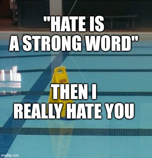 Meme for you | "HATE IS A STRONG WORD"; THEN I REALLY HATE YOU | image tagged in duh no kidding | made w/ Imgflip meme maker