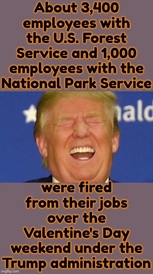 Bye Bye Miss American Pie | About 3,400 employees with the U.S. Forest Service and 1,000 employees with the National Park Service; were fired from their jobs over the Valentine's Day weekend under the Trump administration | image tagged in trump laughing,donald trump is a convicted rapist,lock him up,rapist,maga,memes | made w/ Imgflip meme maker