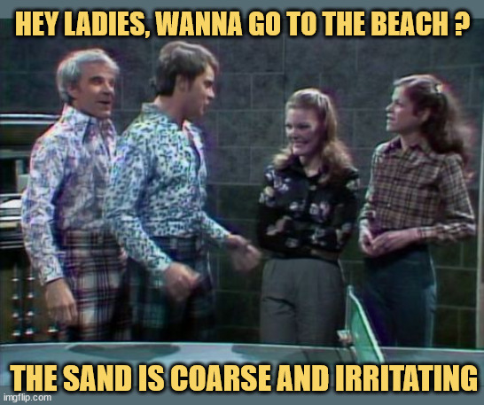 Wild and crazy they are | HEY LADIES, WANNA GO TO THE BEACH ? THE SAND IS COARSE AND IRRITATING | image tagged in classic,snl,steve martin,star wars,quote,mashup | made w/ Imgflip meme maker