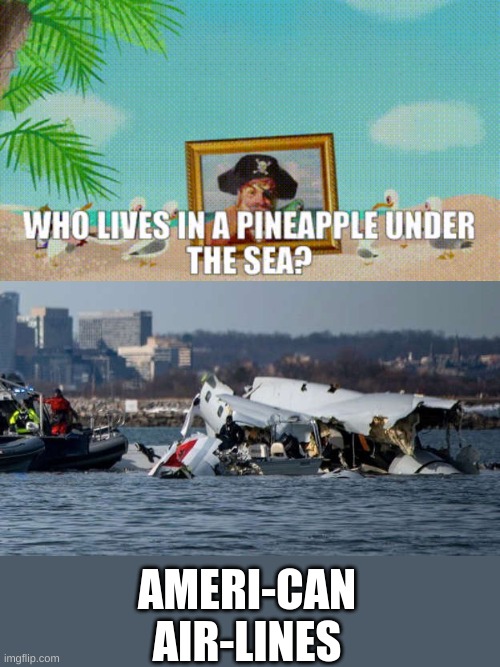 Gyahahahahah gottem | AMERI-CAN AIR-LINES | image tagged in wild,american airlines,crash,hehehe | made w/ Imgflip meme maker