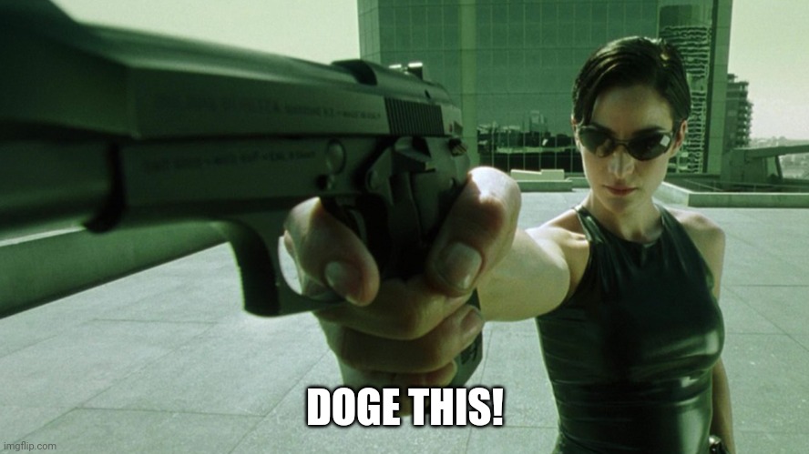 Trinity The Matrix Dodge This | DOGE THIS! | image tagged in trinity the matrix dodge this | made w/ Imgflip meme maker