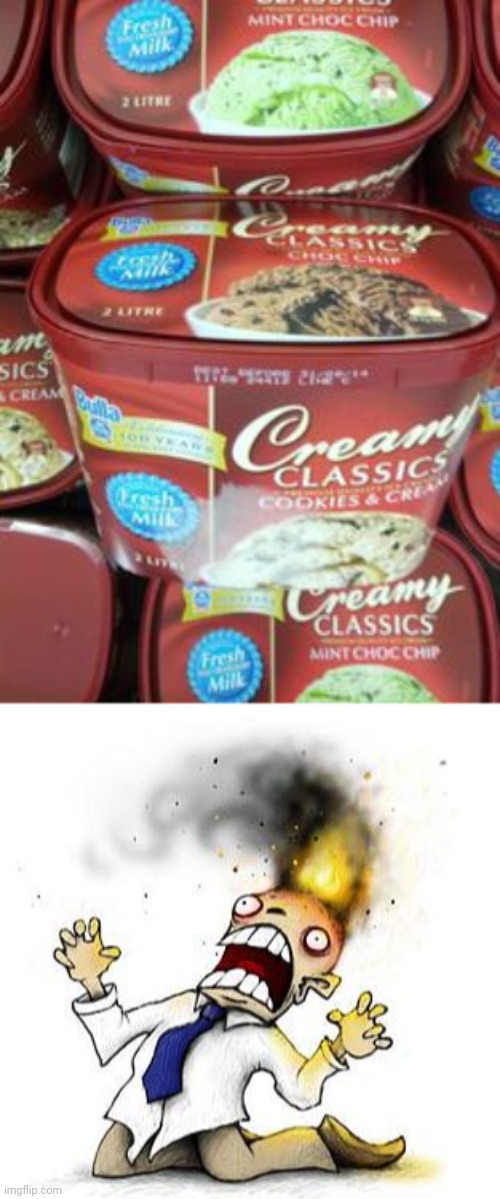 "Choc chip/Cookies in cream" irony | image tagged in the irony it burns,you had one job,memes,ice cream,dessert,irony | made w/ Imgflip meme maker