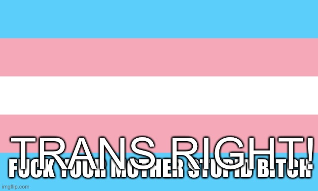 Trans Flag | FUCK YOUR MOTHER STUPID BITCH TRANS RIGHT! | image tagged in trans flag | made w/ Imgflip meme maker