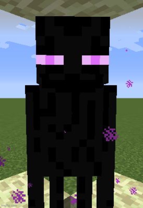 Enderman | image tagged in enderman | made w/ Imgflip meme maker