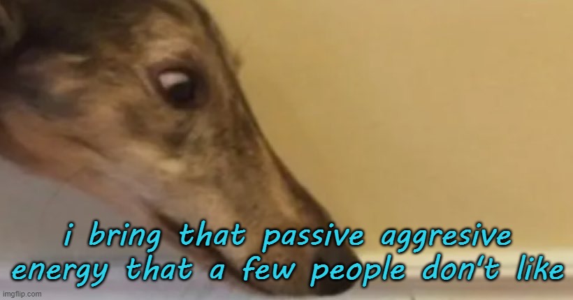 long nose dog | i bring that passive aggresive energy that a few people don't like | image tagged in long nose dog | made w/ Imgflip meme maker