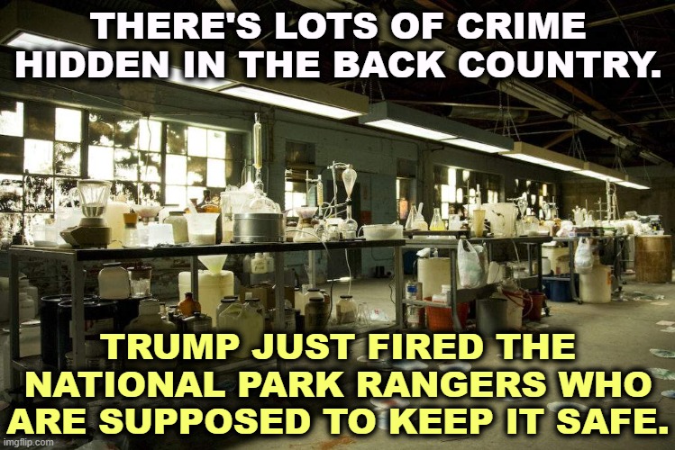 The National Forest Service can't hire firefighters. Who voted for that? | THERE'S LOTS OF CRIME HIDDEN IN THE BACK COUNTRY. TRUMP JUST FIRED THE NATIONAL PARK RANGERS WHO ARE SUPPOSED TO KEEP IT SAFE. | image tagged in trump,elon musk,national parks,rangers,crime,meth | made w/ Imgflip meme maker