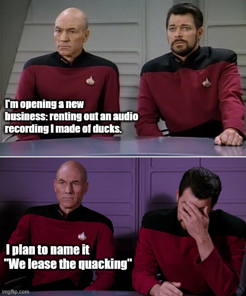 New business | I'm opening a new business: renting out an audio recording I made of ducks. I plan to name it 
"We lease the quacking" | image tagged in picard riker listening to a pun | made w/ Imgflip meme maker