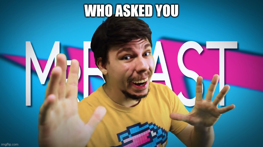 Fake MrBeast | WHO ASKED YOU | image tagged in fake mrbeast | made w/ Imgflip meme maker