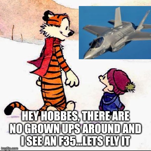 imagine | HEY HOBBES, THERE ARE NO GROWN UPS AROUND AND I SEE AN F35...LETS FLY IT | image tagged in calvin and hobbs | made w/ Imgflip meme maker