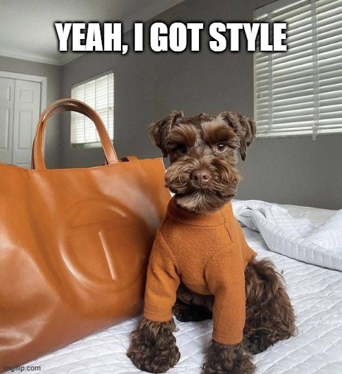 Style Dog | YEAH, I GOT STYLE | image tagged in dogs | made w/ Imgflip meme maker