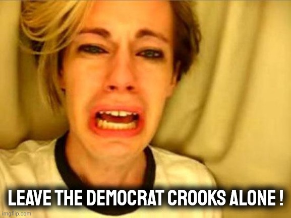 Leave Britney Alone | Leave the Democrat crooks alone ! | image tagged in leave britney alone | made w/ Imgflip meme maker