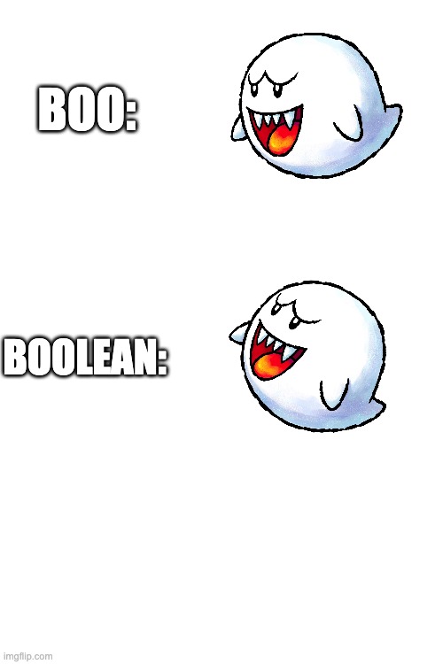 boolean | BOO:; BOOLEAN: | image tagged in puns,bad pun,dad joke,mario,programming,super mario | made w/ Imgflip meme maker