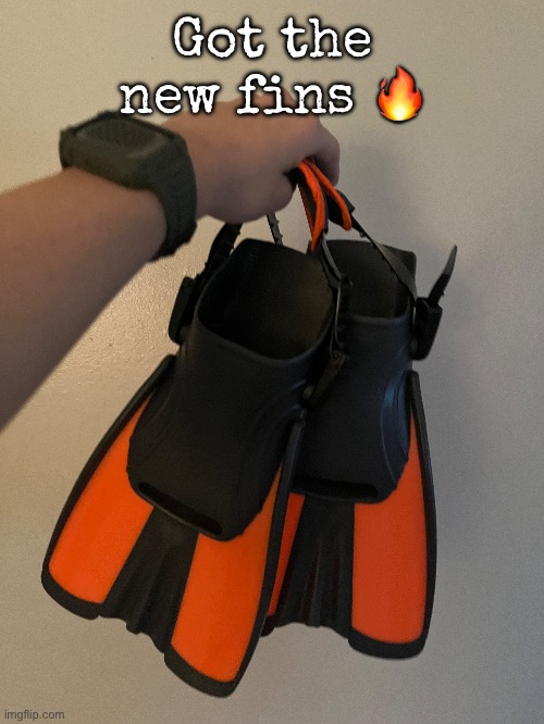 Got the new fins ? | Got the new fins 🔥 | image tagged in msmg,swimming | made w/ Imgflip meme maker