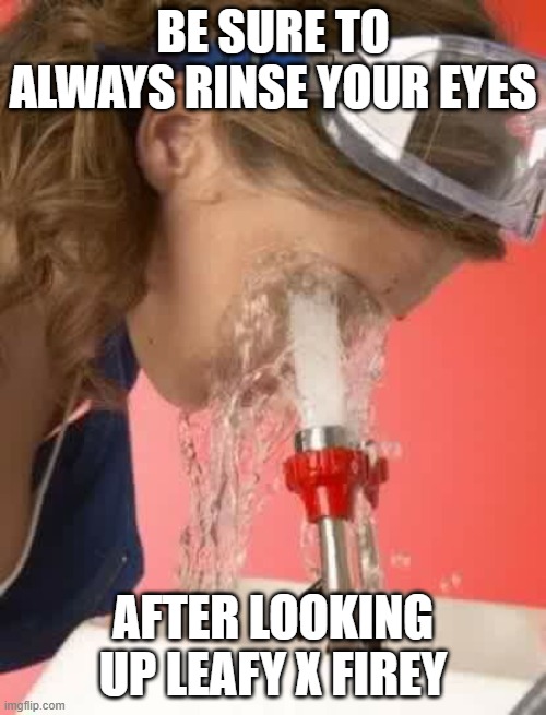 Chris Joines | BE SURE TO ALWAYS RINSE YOUR EYES; AFTER LOOKING UP LEAFY X FIREY | image tagged in chris joines | made w/ Imgflip meme maker