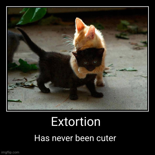 Pay up, Kitten! | Extortion | Has never been cuter | image tagged in funny,demotivationals,extortion,cats,kittens,organized crime | made w/ Imgflip demotivational maker