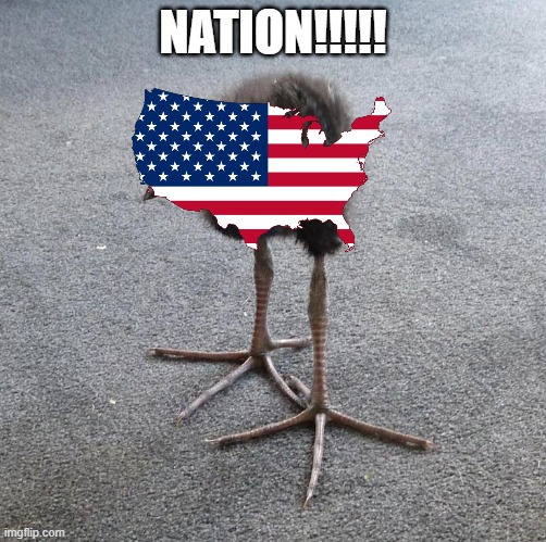 . | NATION!!!!! | made w/ Imgflip meme maker