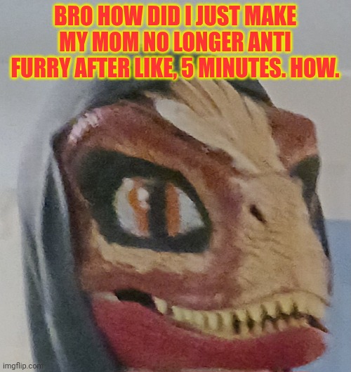 BRO HOW DID I JUST MAKE MY MOM NO LONGER ANTI FURRY AFTER LIKE, 5 MINUTES. HOW. | made w/ Imgflip meme maker