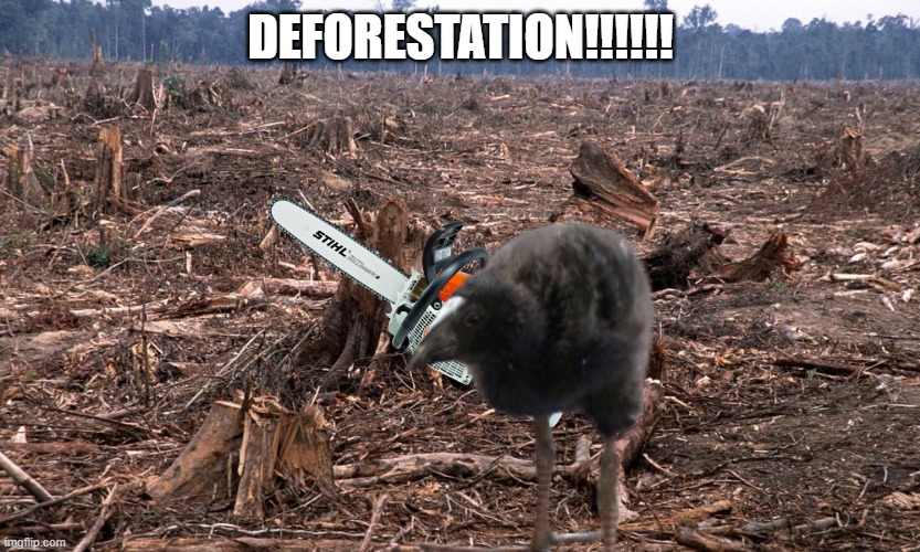 Deforestation | DEFORESTATION!!!!!! | image tagged in deforestation | made w/ Imgflip meme maker