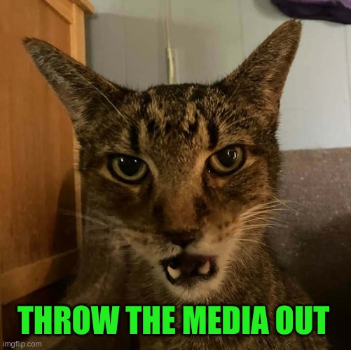 Technology is destroying you | THROW THE MEDIA OUT | image tagged in only going to tell you once cat,social media,throw it away,x all the y,cool cat | made w/ Imgflip meme maker