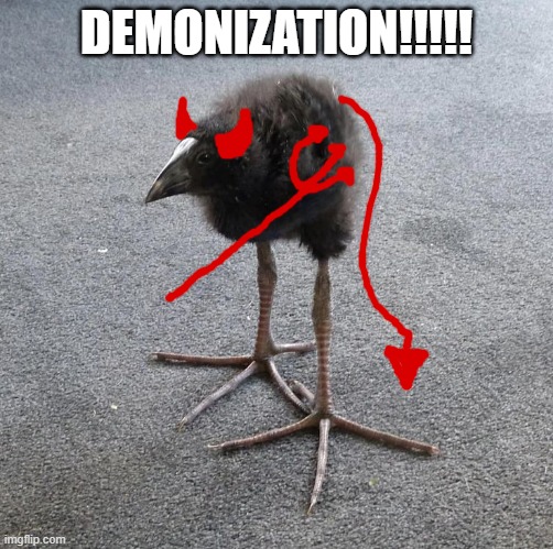 Pukeko chick | DEMONIZATION!!!!! | image tagged in pukeko chick | made w/ Imgflip meme maker