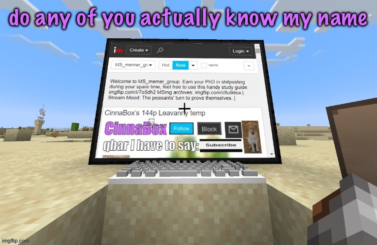 CinnaBox in minecraft | do any of you actually know my name | image tagged in cinnabox in minecraft | made w/ Imgflip meme maker