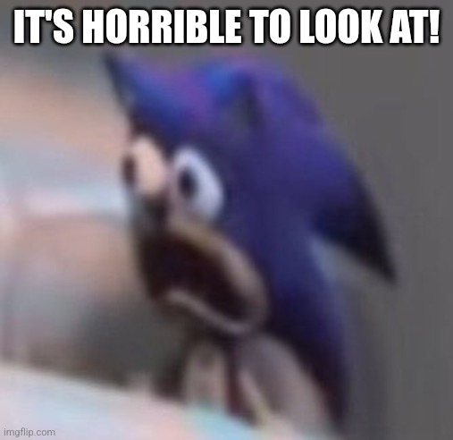 Traumatised Sonic | IT'S HORRIBLE TO LOOK AT! | image tagged in traumatised sonic | made w/ Imgflip meme maker