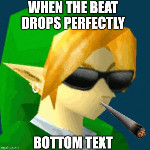 I Can't Think Of A Title So I Guess Just Rock On | WHEN THE BEAT DROPS PERFECTLY; BOTTOM TEXT | image tagged in link deal with it,beat drop,bottom text,perfect timing,rock on | made w/ Imgflip meme maker