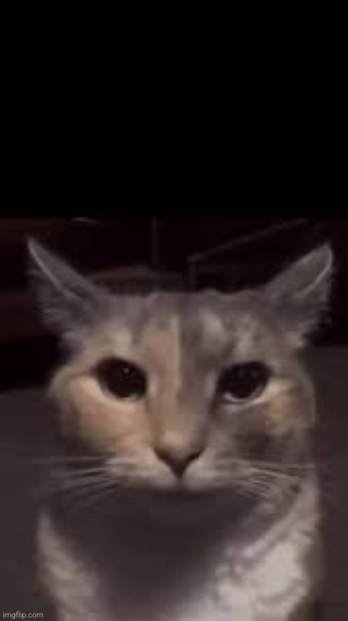 erm .. | image tagged in erm | made w/ Imgflip meme maker