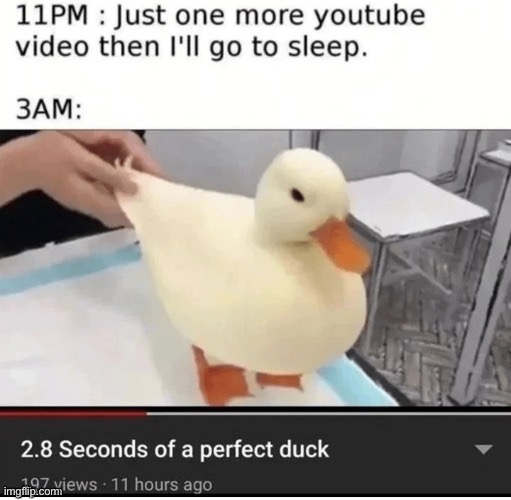 DUCKIE YAEY :] | image tagged in e | made w/ Imgflip meme maker