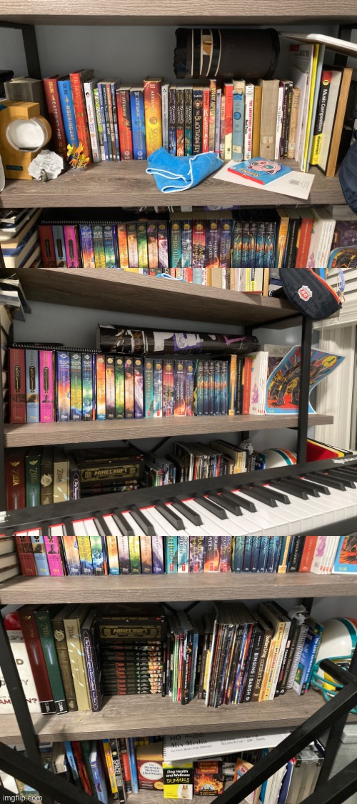 Rate the shelf contents | made w/ Imgflip meme maker