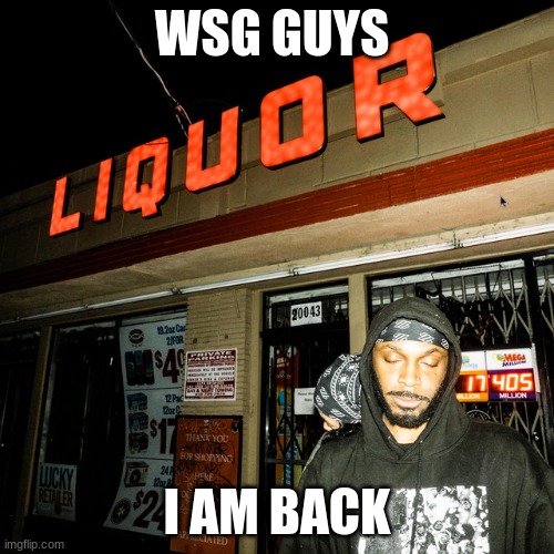 IM BACK | WSG GUYS; I AM BACK | image tagged in hdhd,adhd | made w/ Imgflip meme maker