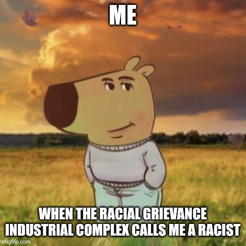 Chill guy | ME; WHEN THE RACIAL GRIEVANCE INDUSTRIAL COMPLEX CALLS ME A RACIST | image tagged in chill guy | made w/ Imgflip meme maker