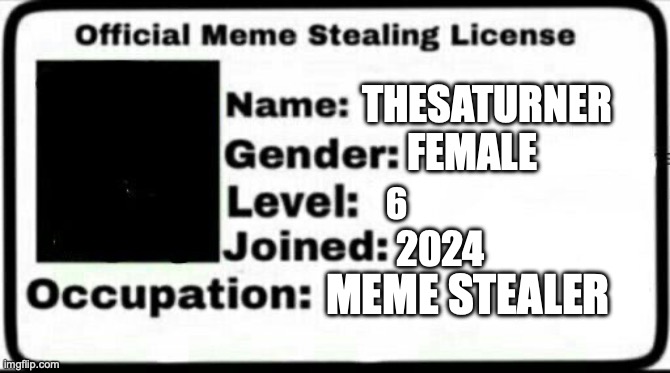 Meme Stealing License | THESATURNER FEMALE 6 2024 MEME STEALER | image tagged in meme stealing license | made w/ Imgflip meme maker