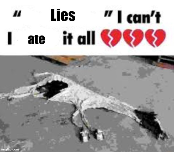 Lies ate | image tagged in i can't i x it all | made w/ Imgflip meme maker