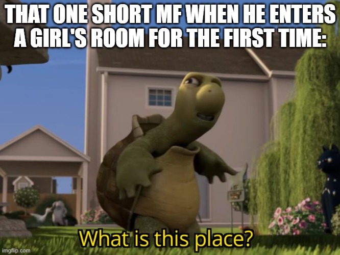 Wow. | THAT ONE SHORT MF WHEN HE ENTERS A GIRL'S ROOM FOR THE FIRST TIME: | image tagged in what is this place,hey man you see that guy over there,short people,teehee,turtle,girl | made w/ Imgflip meme maker
