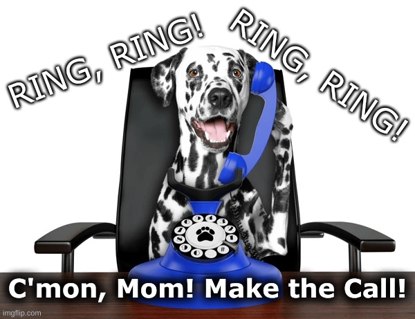 C'mon Mom Dalmation Phone | RING, RING! RING, RING! C'mon, Mom! Make the Call! | image tagged in make the call | made w/ Imgflip meme maker