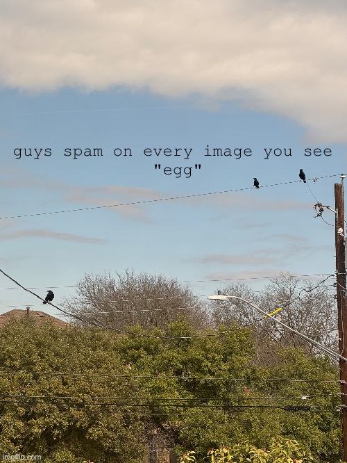 guys spam on every image you see 
"egg" | made w/ Imgflip meme maker