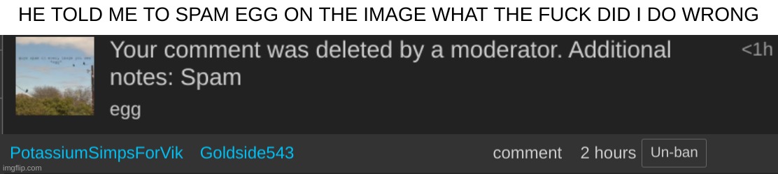 LITERALLY 1984 | HE TOLD ME TO SPAM EGG ON THE IMAGE WHAT THE FUCK DID I DO WRONG | made w/ Imgflip meme maker