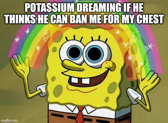 Imagination Spongebob | POTASSIUM DREAMING IF HE THINKS HE CAN BAN ME FOR MY CHEST | image tagged in memes,imagination spongebob | made w/ Imgflip meme maker