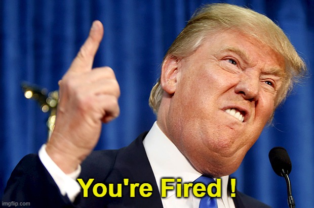 Donald Trump | You're Fired ! | image tagged in donald trump | made w/ Imgflip meme maker