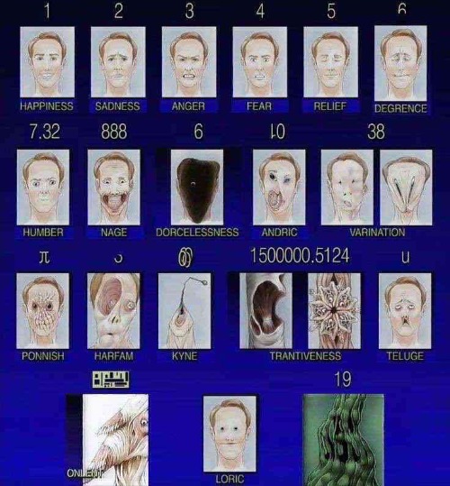 What one yall feelin | image tagged in thalasin | made w/ Imgflip meme maker