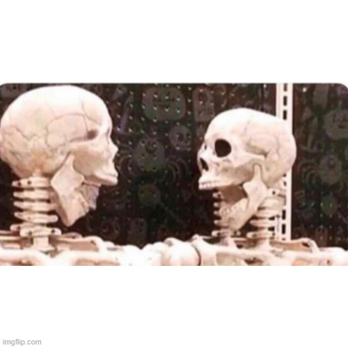 Shocked skeletons | image tagged in shocked skeletons | made w/ Imgflip meme maker