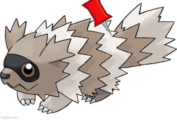 Zigzagoon | image tagged in zigzagoon | made w/ Imgflip meme maker