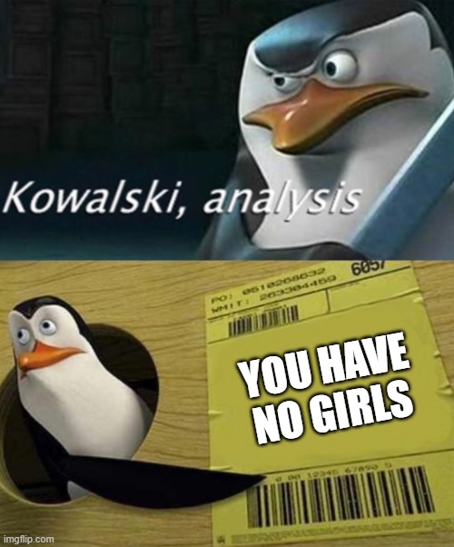 *plays sad charlie brown christmas music* | YOU HAVE NO GIRLS | image tagged in kowalski analysis,sad pablo escobar,penguins of madagascar,madagascar,lol so funny,girls | made w/ Imgflip meme maker