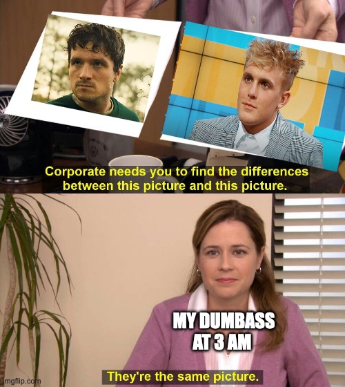 They are the same picture | MY DUMBASS AT 3 AM | image tagged in they are the same picture | made w/ Imgflip meme maker