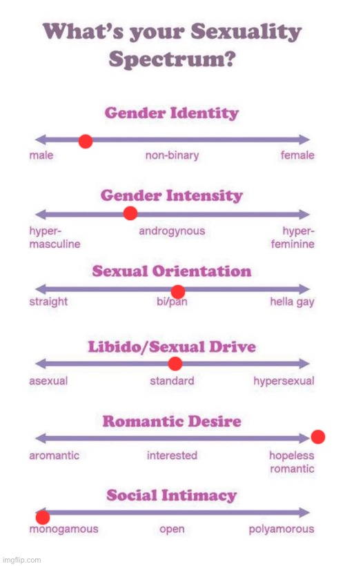 What's your sexuality spectrum? | image tagged in what's your sexuality spectrum | made w/ Imgflip meme maker