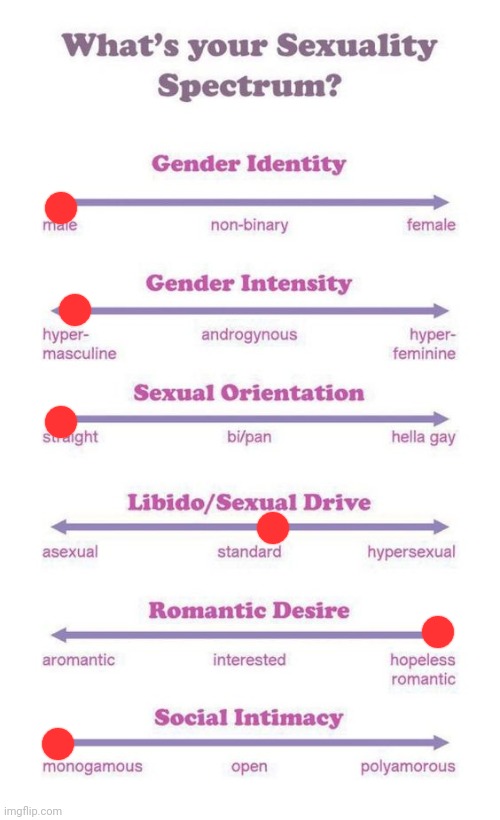 wtf is this | image tagged in what's your sexuality spectrum | made w/ Imgflip meme maker