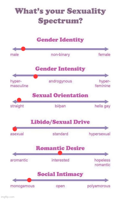 What's your sexuality spectrum? | image tagged in what's your sexuality spectrum | made w/ Imgflip meme maker