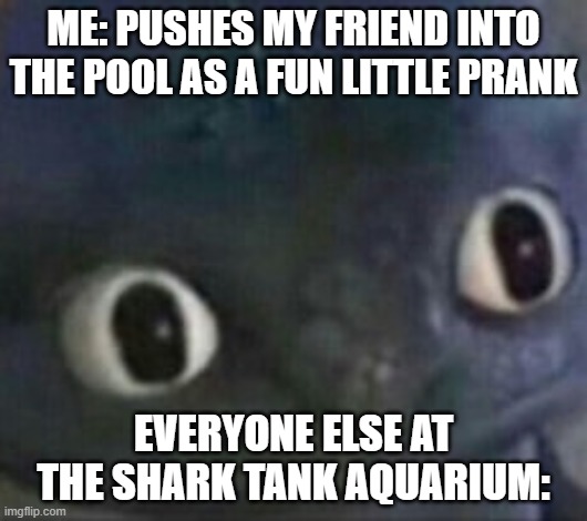 uhh... | ME: PUSHES MY FRIEND INTO THE POOL AS A FUN LITTLE PRANK; EVERYONE ELSE AT THE SHARK TANK AQUARIUM: | image tagged in toothless shocked,drowning kid in the pool,shark,how to train your dragon,toothless,lol so funny | made w/ Imgflip meme maker